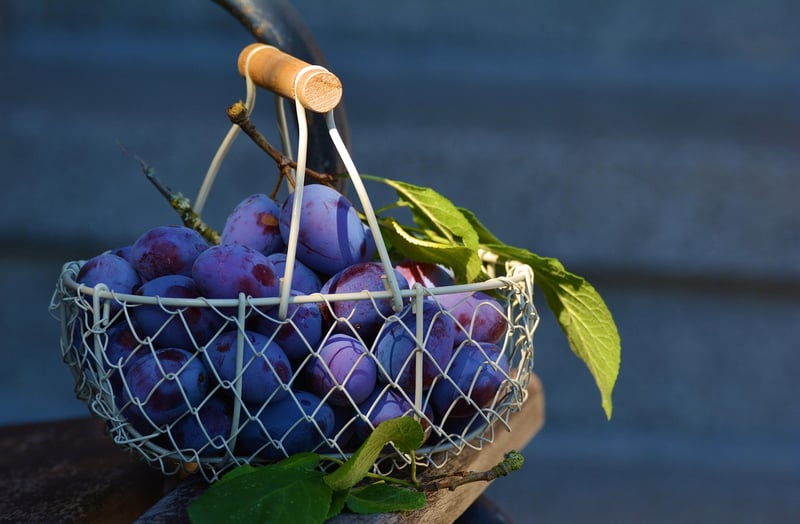 Wicker baskets
