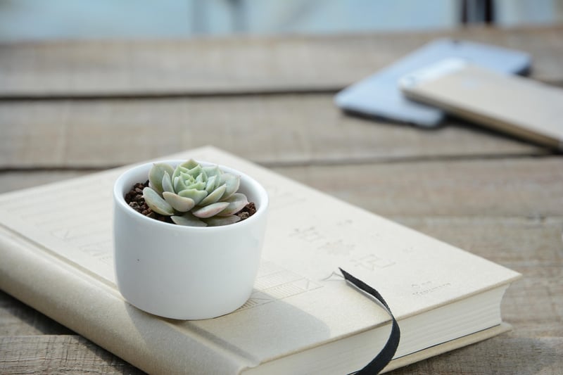 Ceramic Planter